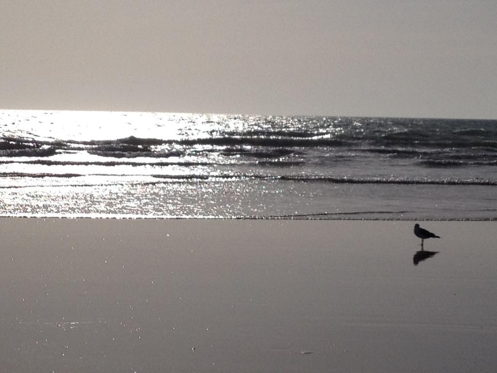 Vendee Vue Mer Saint-Hilaire-de-Riez ภายนอก รูปภาพ